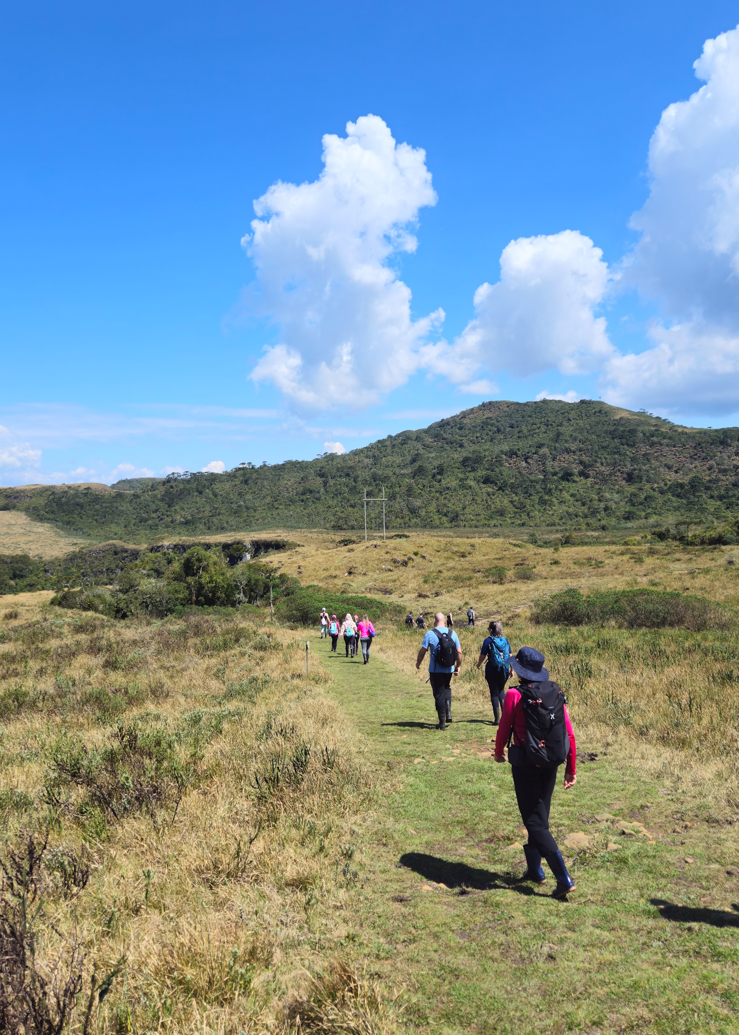 Aventura 4x4 Cânion Espraiado - Urubici | Serra Catarinense - Image 4