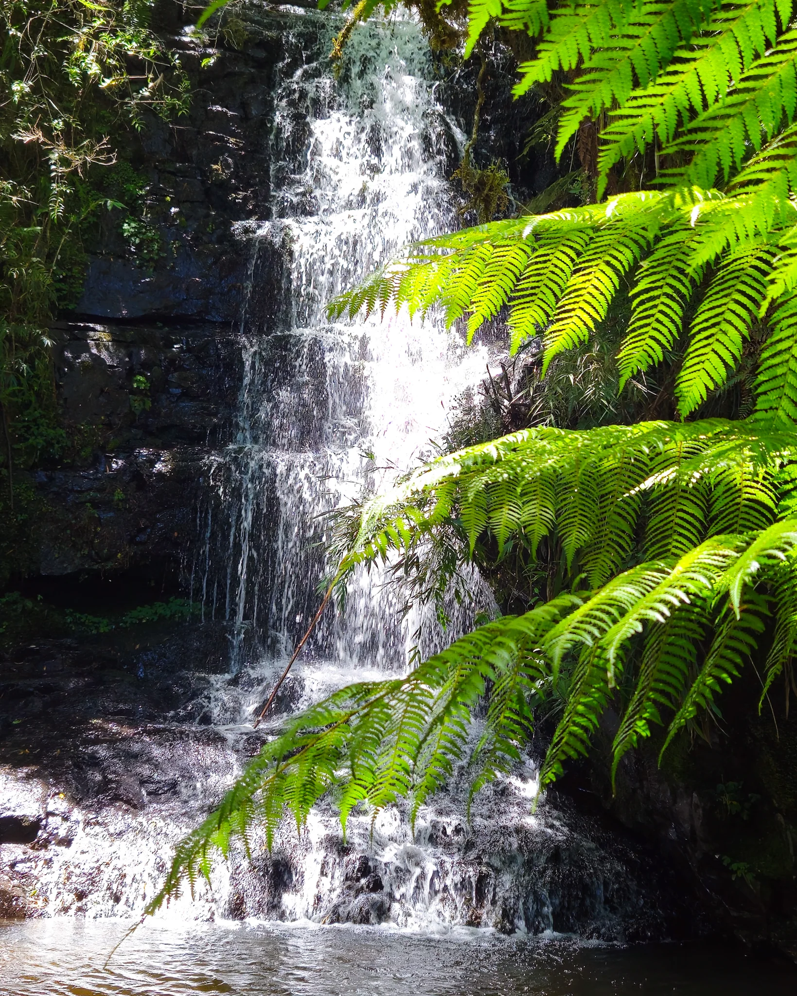 Aventura 4x4 Santa Bárbara - Urubici | Serra Catarinense - Image 5