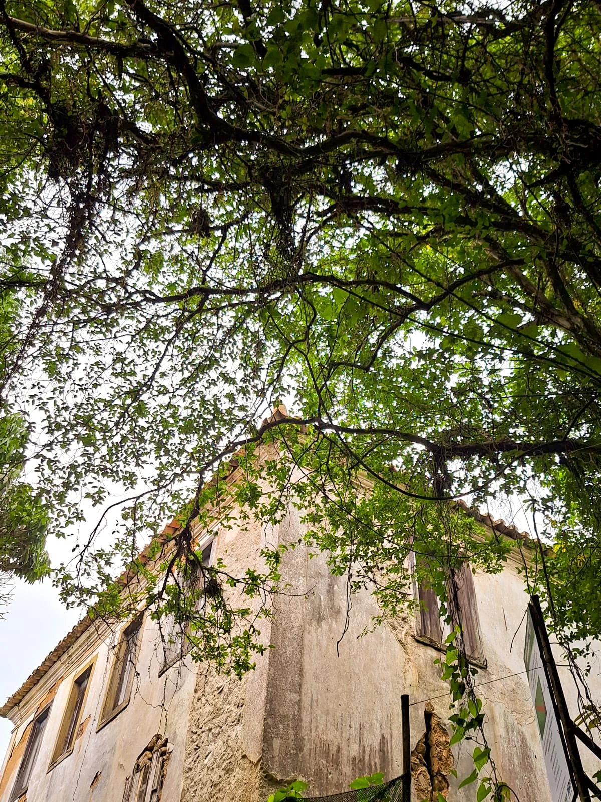 Trilha Costa da Lagoa - Florianópolis - Image 2