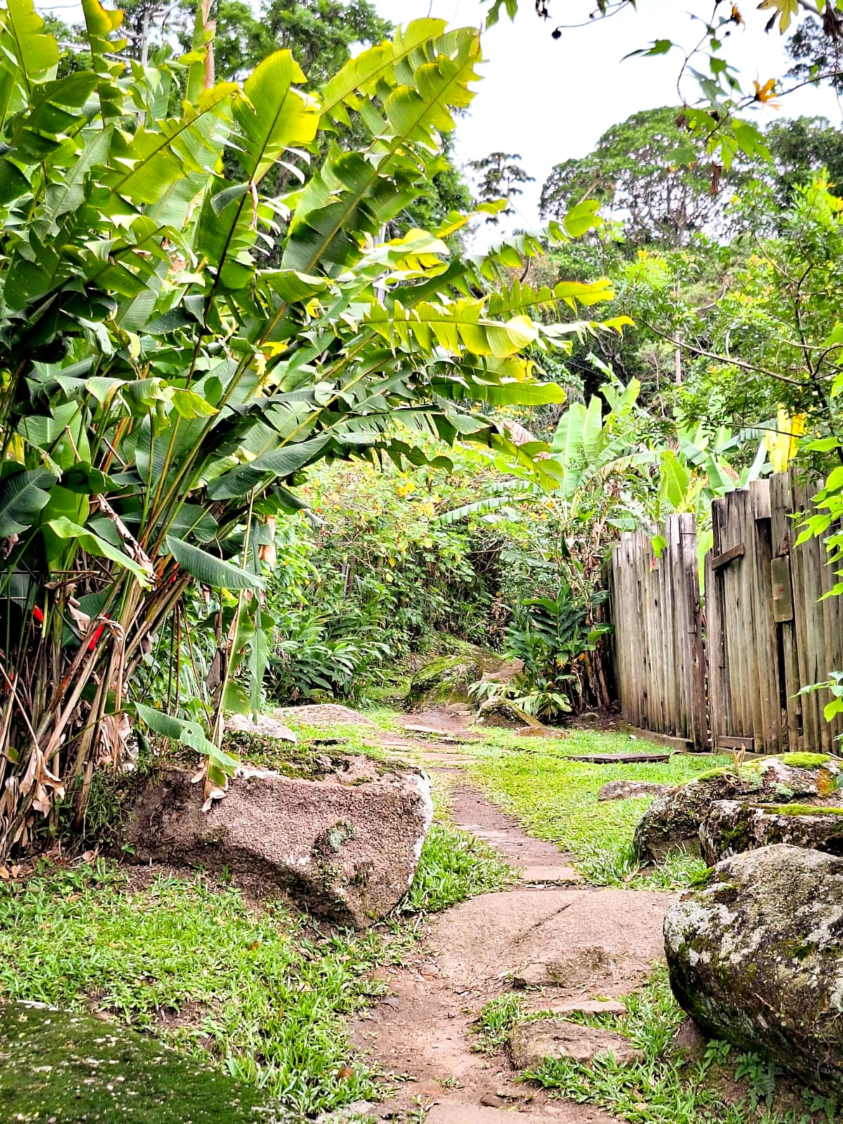 Trilha Costa da Lagoa - Florianópolis - Image 5