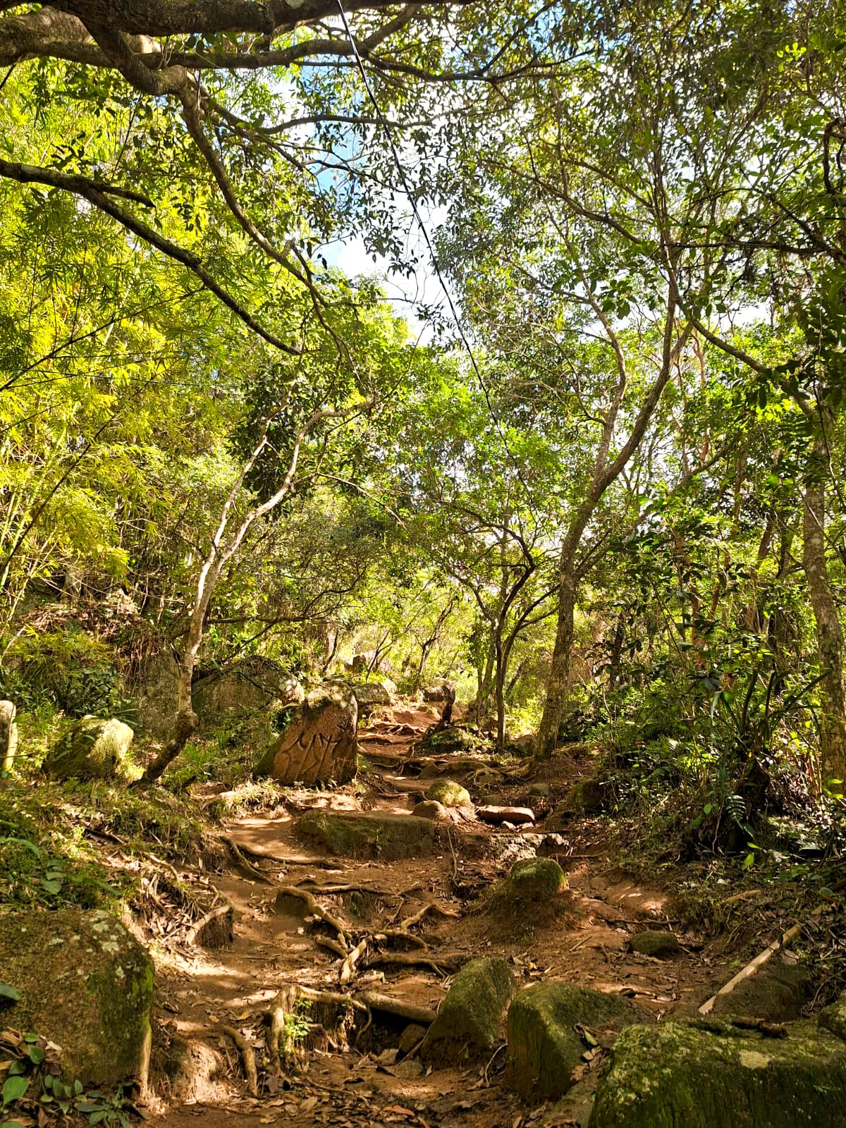 Trilha Costa da Lagoa - Florianópolis - Image 3